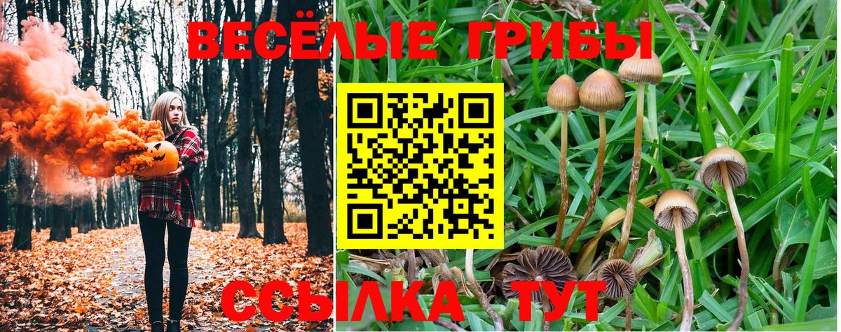 Псилоцибиновые грибы MAGIC MUSHROOMS  Псилоцибиновые грибы GOLDEN TEACHER  Славгород  Вход с VPN 