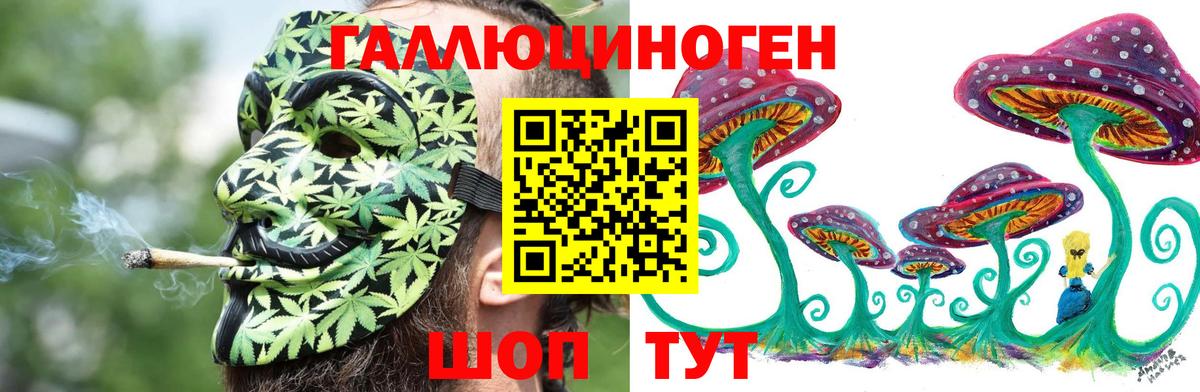 Псилоцибиновые грибы мицелий Славгород